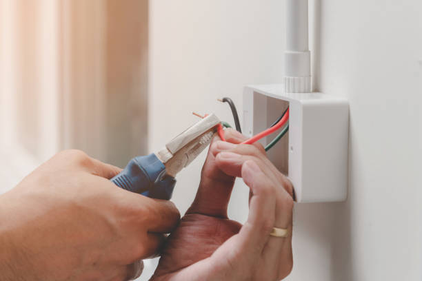 Best Electrical Outlet Installation and Repair  in Ly Lake, IL