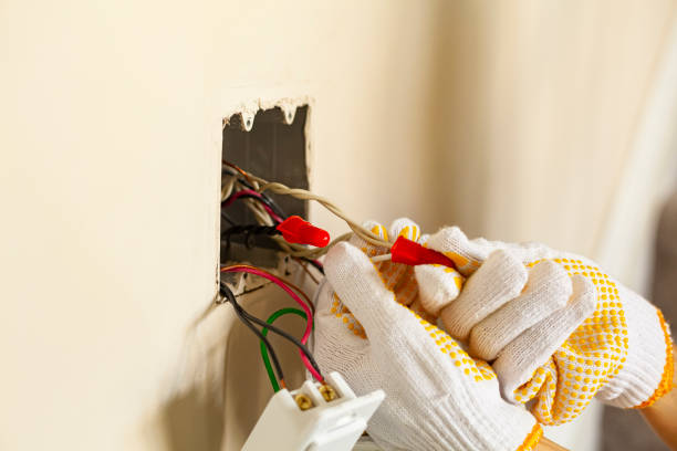 Electrical Maintenance Services in Lily Lake, IL